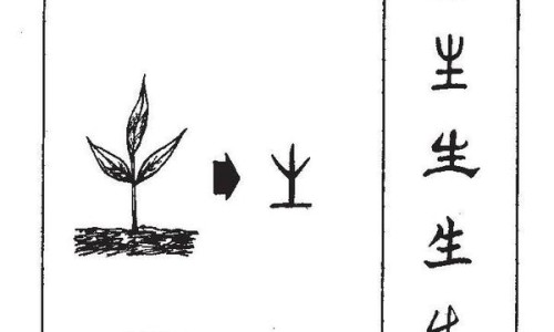 猪腰鸡子汤功效与作用禁忌-猪腰鸡子汤功效与作用禁忌专区_猪腰鸡子汤功效与作用是什么专区_猪腰鸡子汤功效与作用网